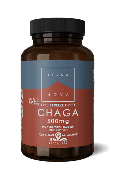 Chaga - Pakurikääpä 500 mg Terranova