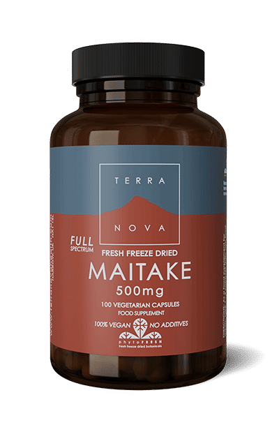 Maitake 500 mg Terranova